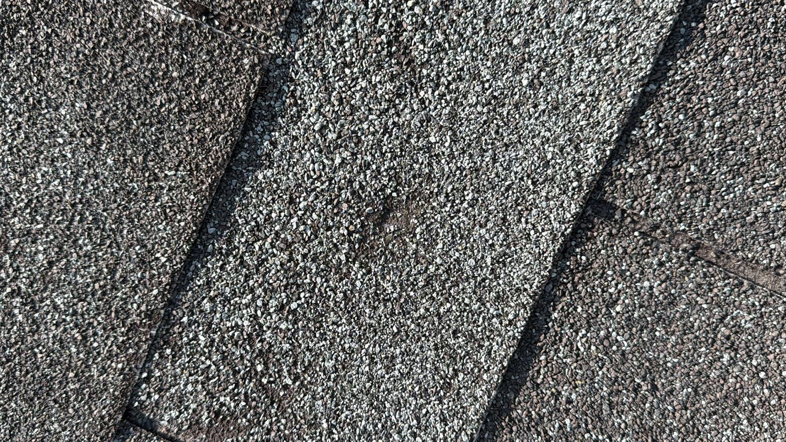 Close-up of a dark hail bruise with granule loss on an asphalt shingle in Birmingham AL