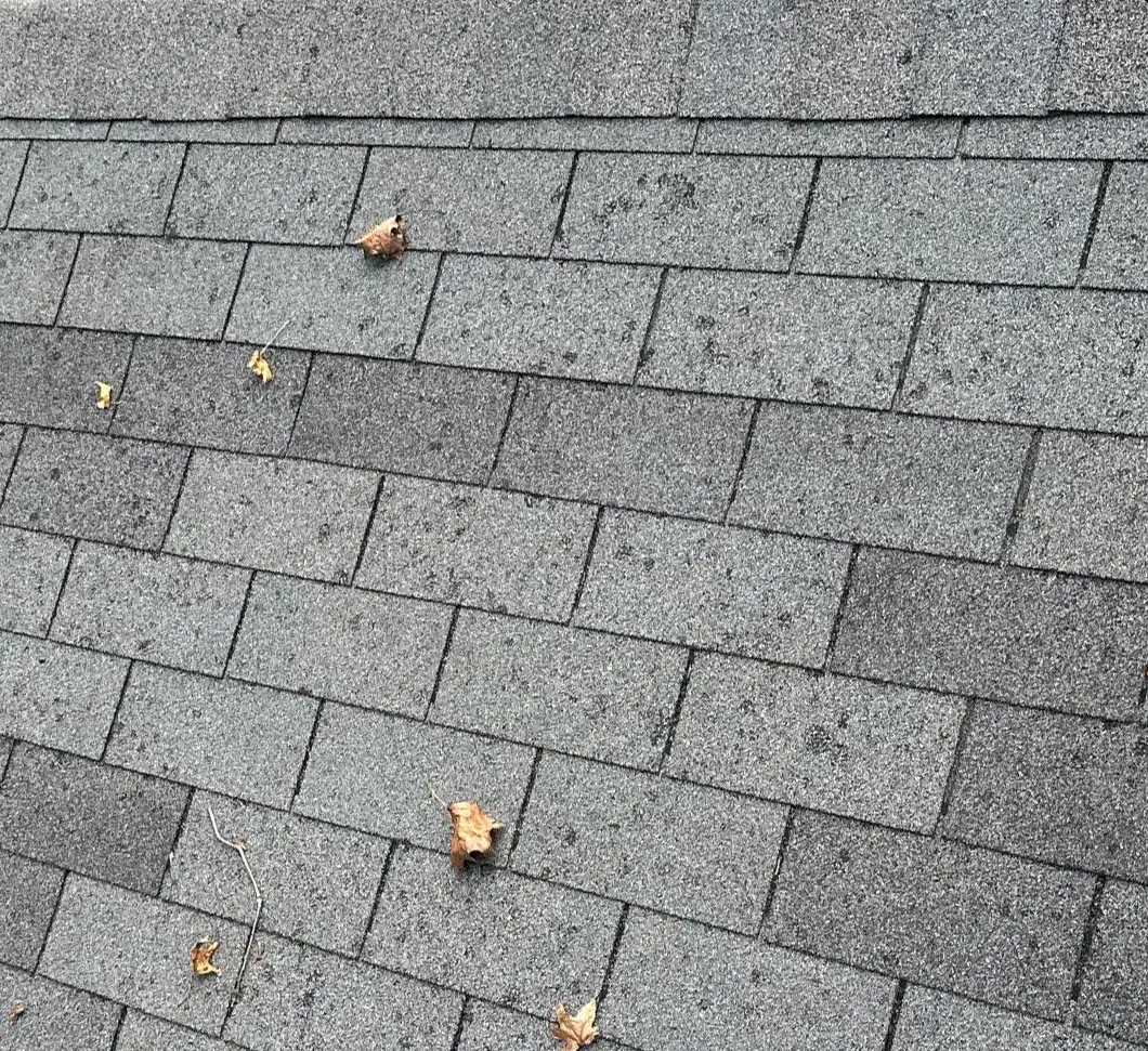 Wind vs Hail Damage: Vestavia Hills Shingle Guide