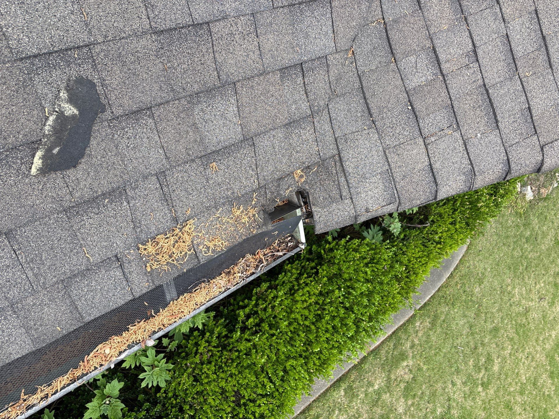 Debris fills a gutter screen next to a broken shingle on an Irondale home needing gutter repair.