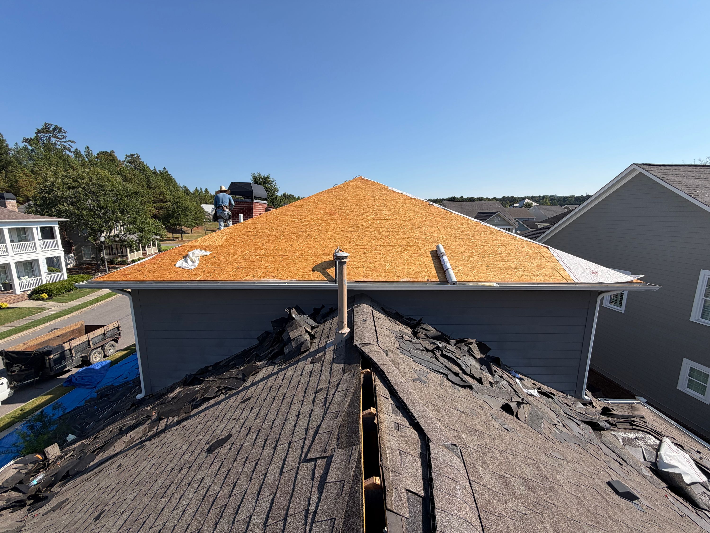 A clean gable roof plane covered in new OSB sheathing rises above old gray shingles being prepped for replacement.