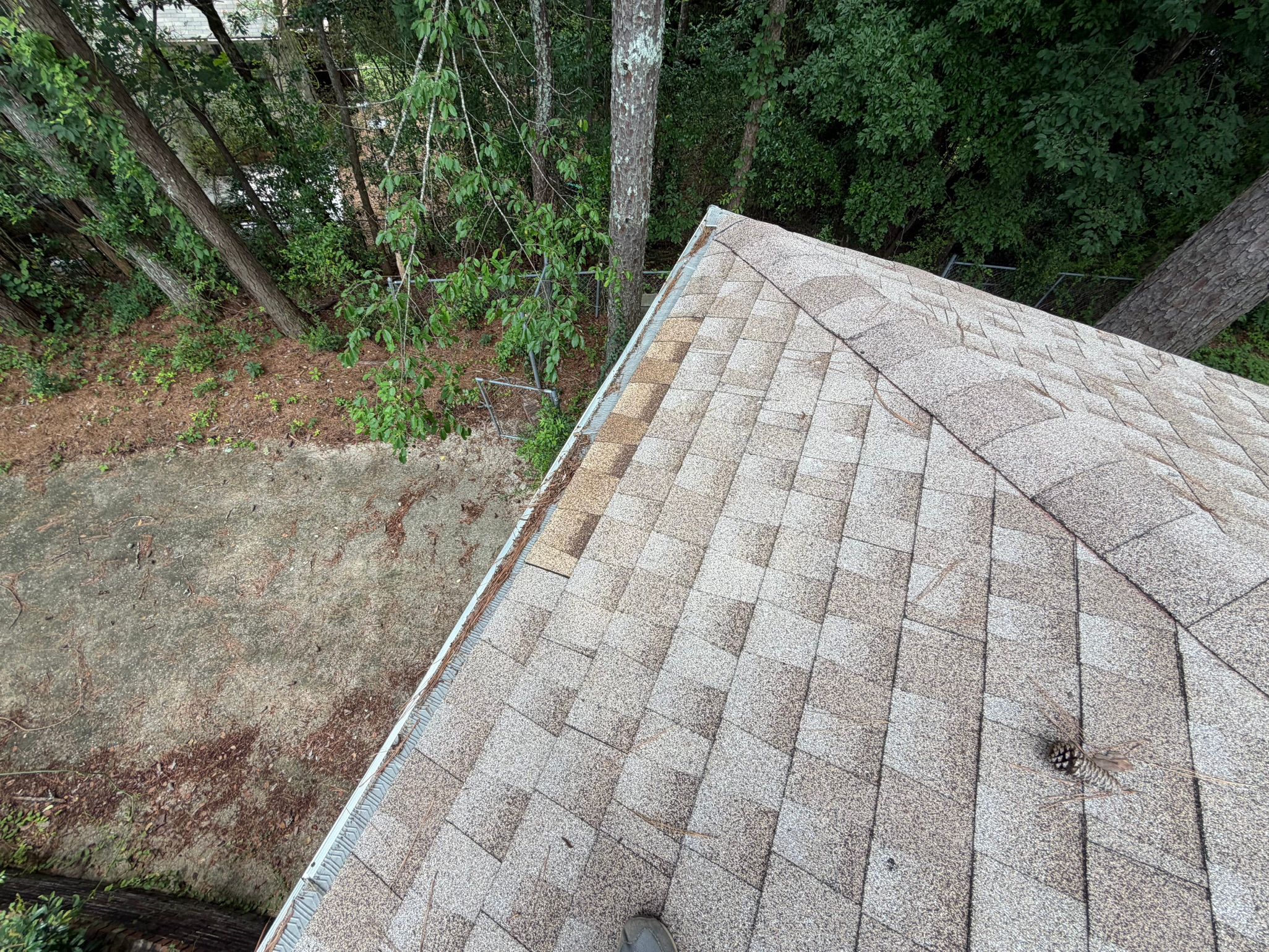 Shingle roof edge features newly installed gutter protection along the roofline in Cahaba Hills.