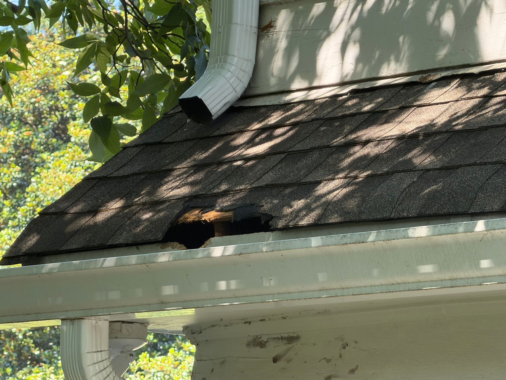 A hole in the roof shingles above the gutter indicates water damage requiring roof repair in Mountain Brook.