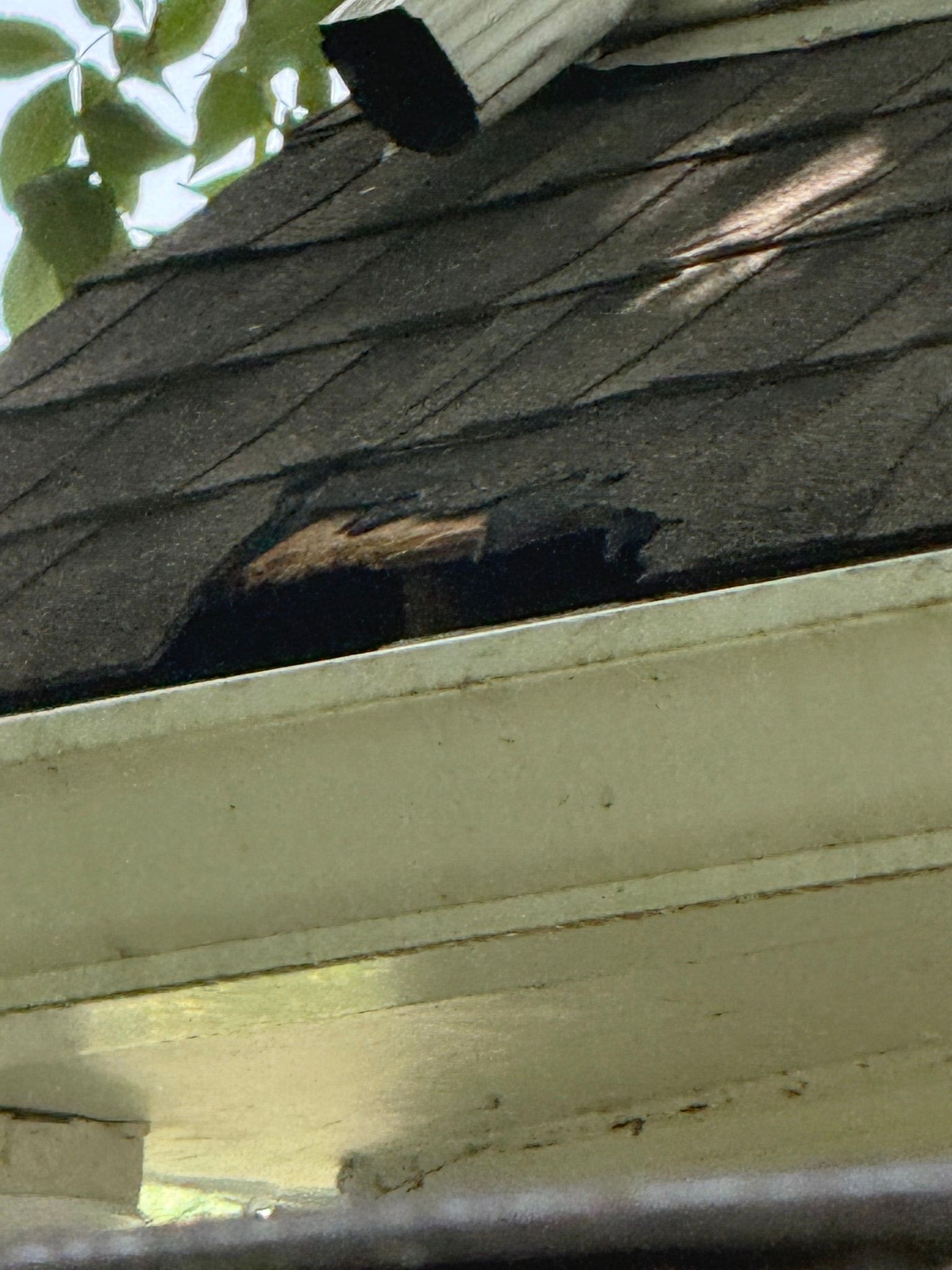 Close-up view shows a deteriorated section of shingles exposing the roof deck below.