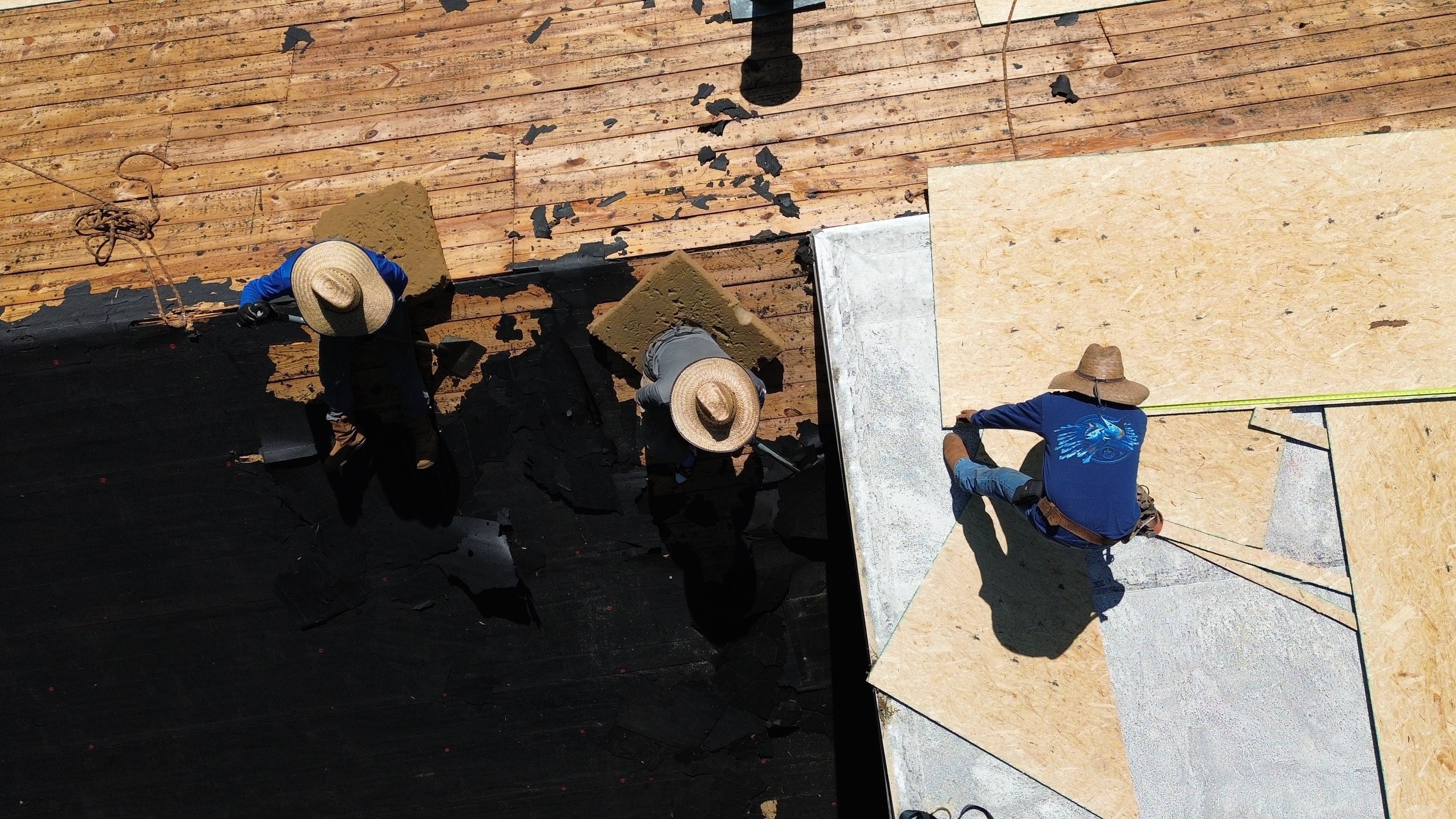 Installing plywood decking and underlayment for a roof replacement in Mountain Brook.