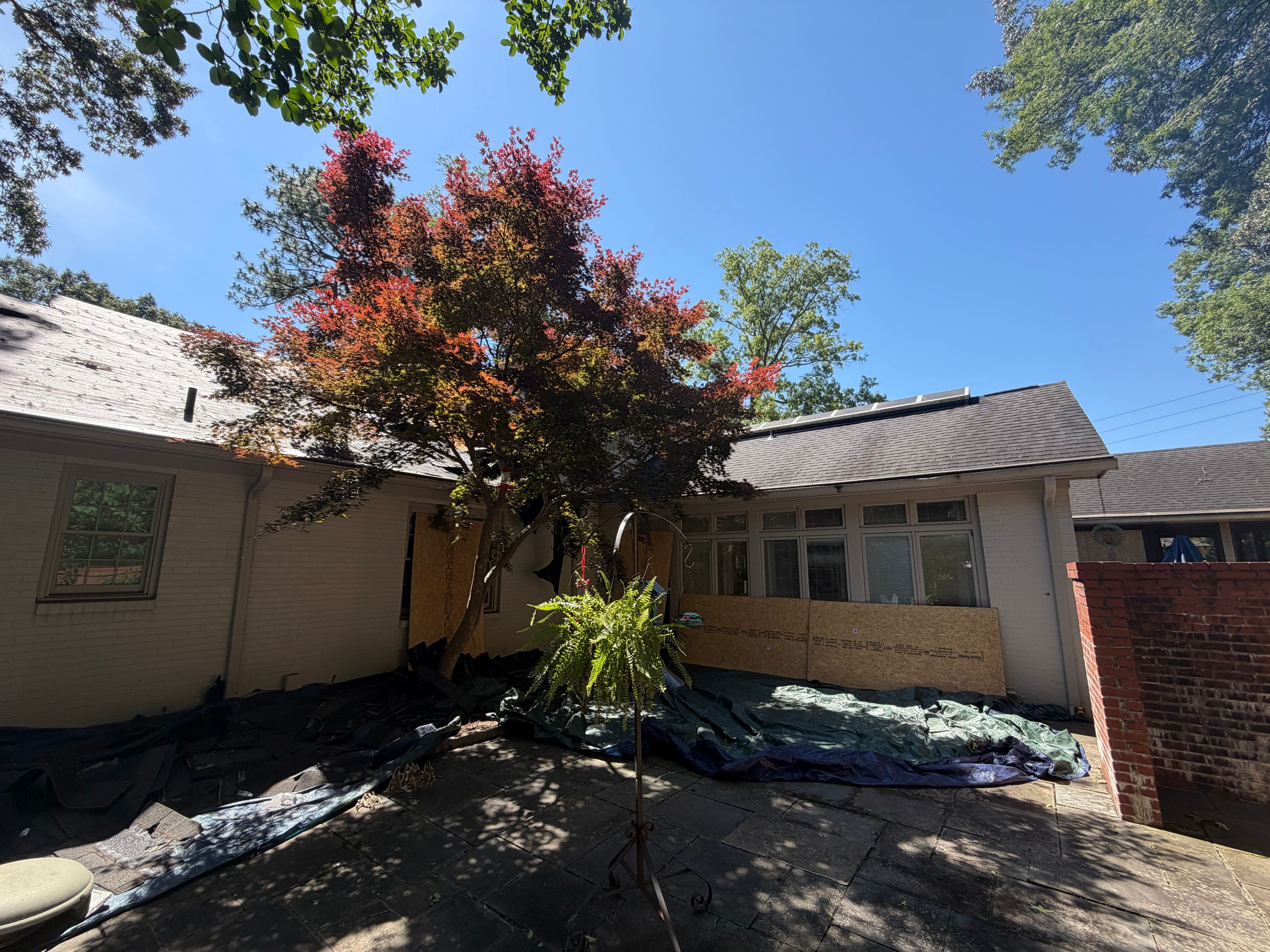 Protective plywood and tarps set up for a residential roof replacement in Mountain Brook.