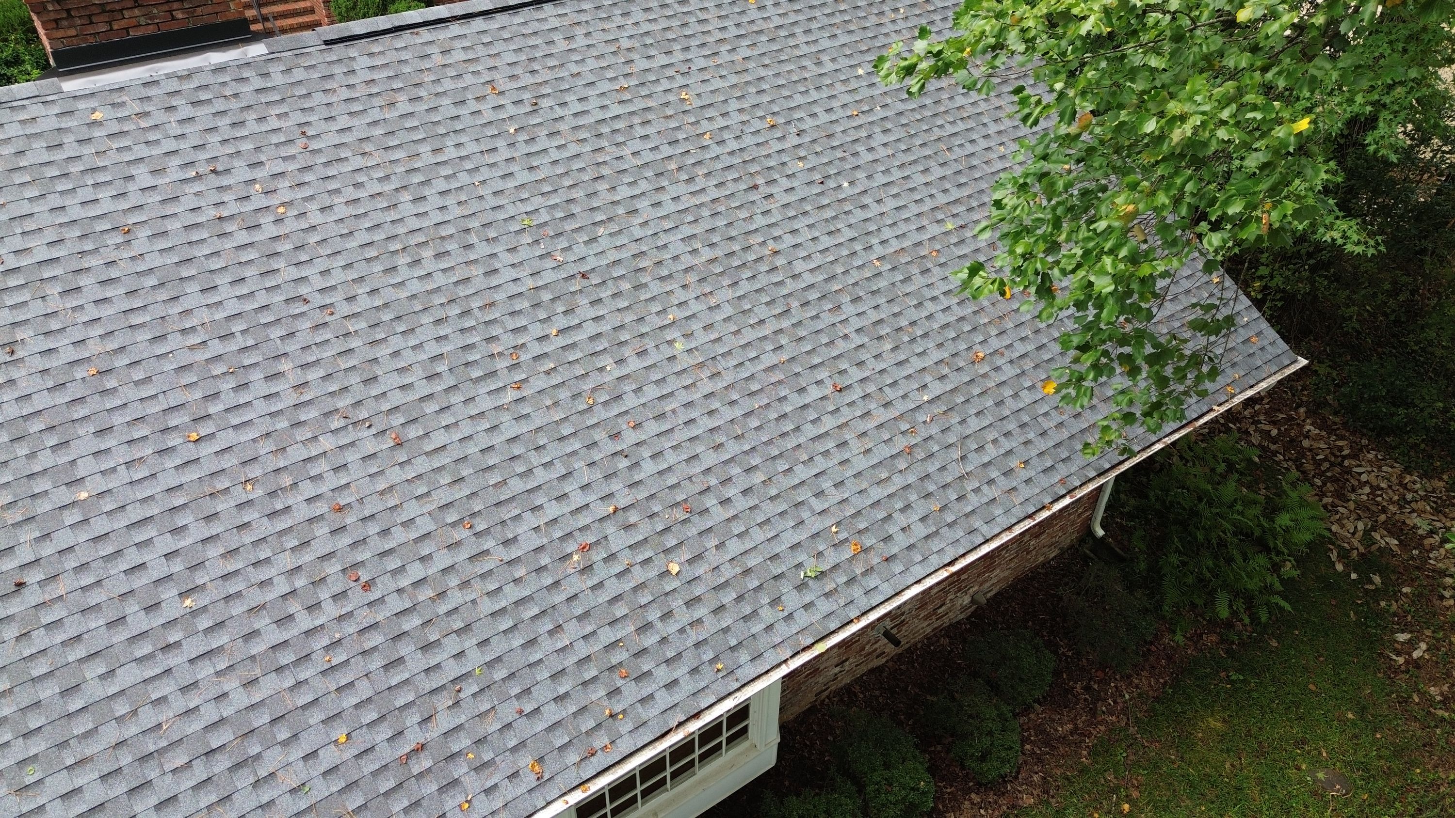 Grey architectural shingles slope down toward a white gutter line after a complete roof replacement.